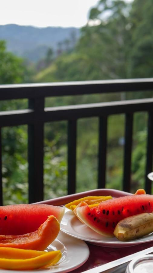 The Bliss Homestay Ella Luaran gambar