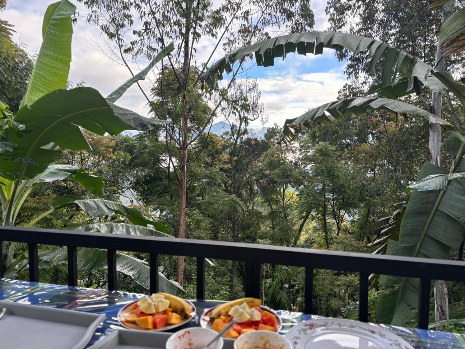 The Bliss Homestay Ella Luaran gambar